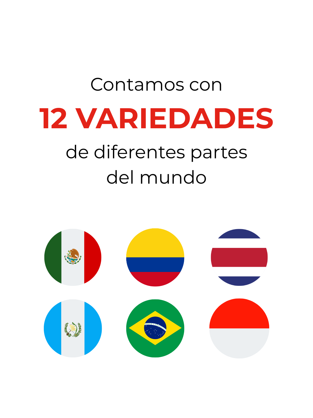 1_37073ca7-5964-4084-9ead-b776368ef5ef.png