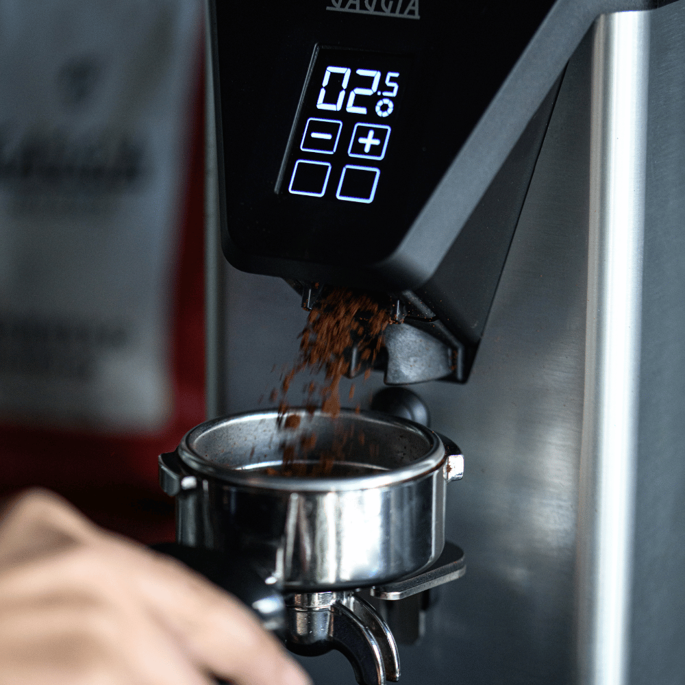 Molino MDF 55 - Gaggia