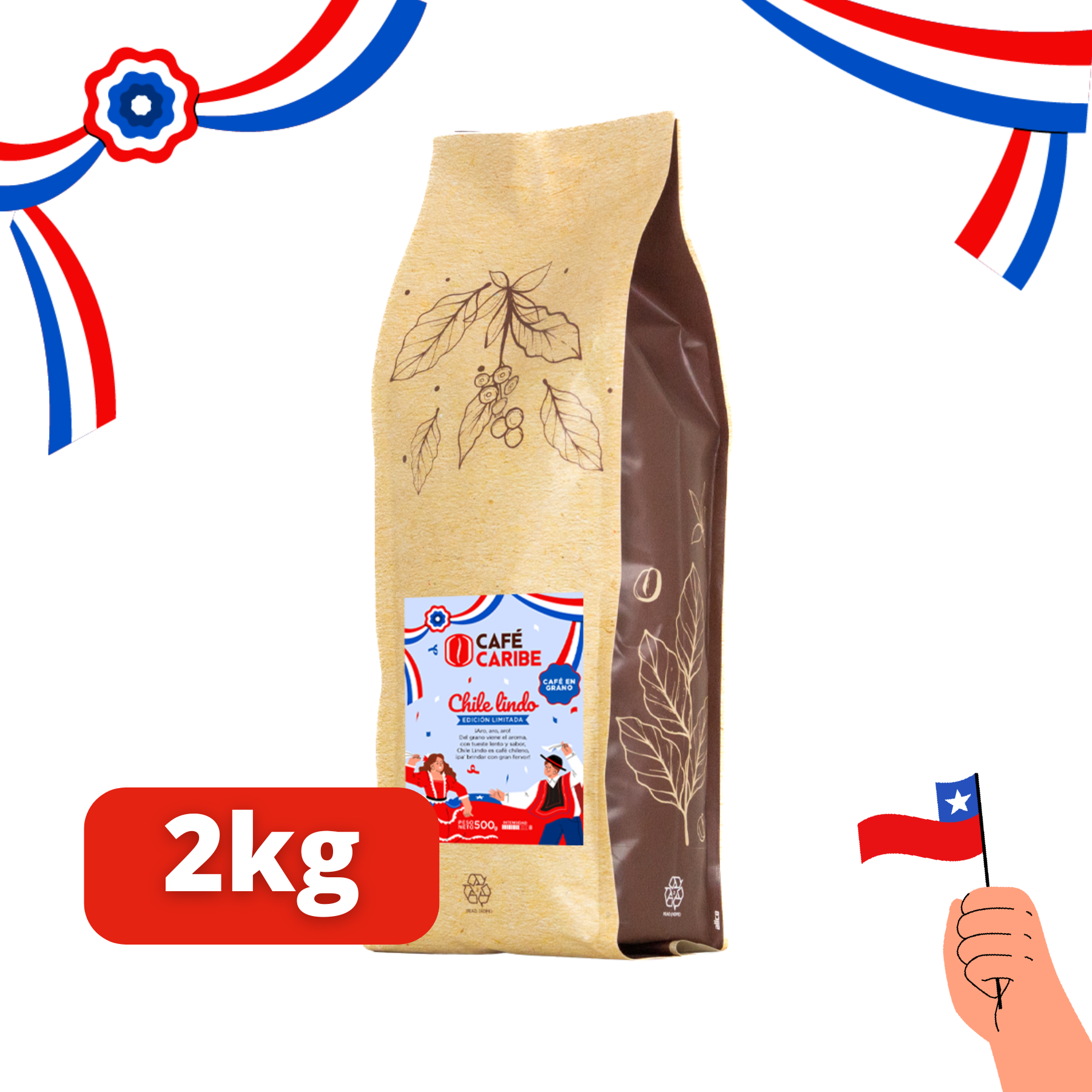 2kgs_grano.png