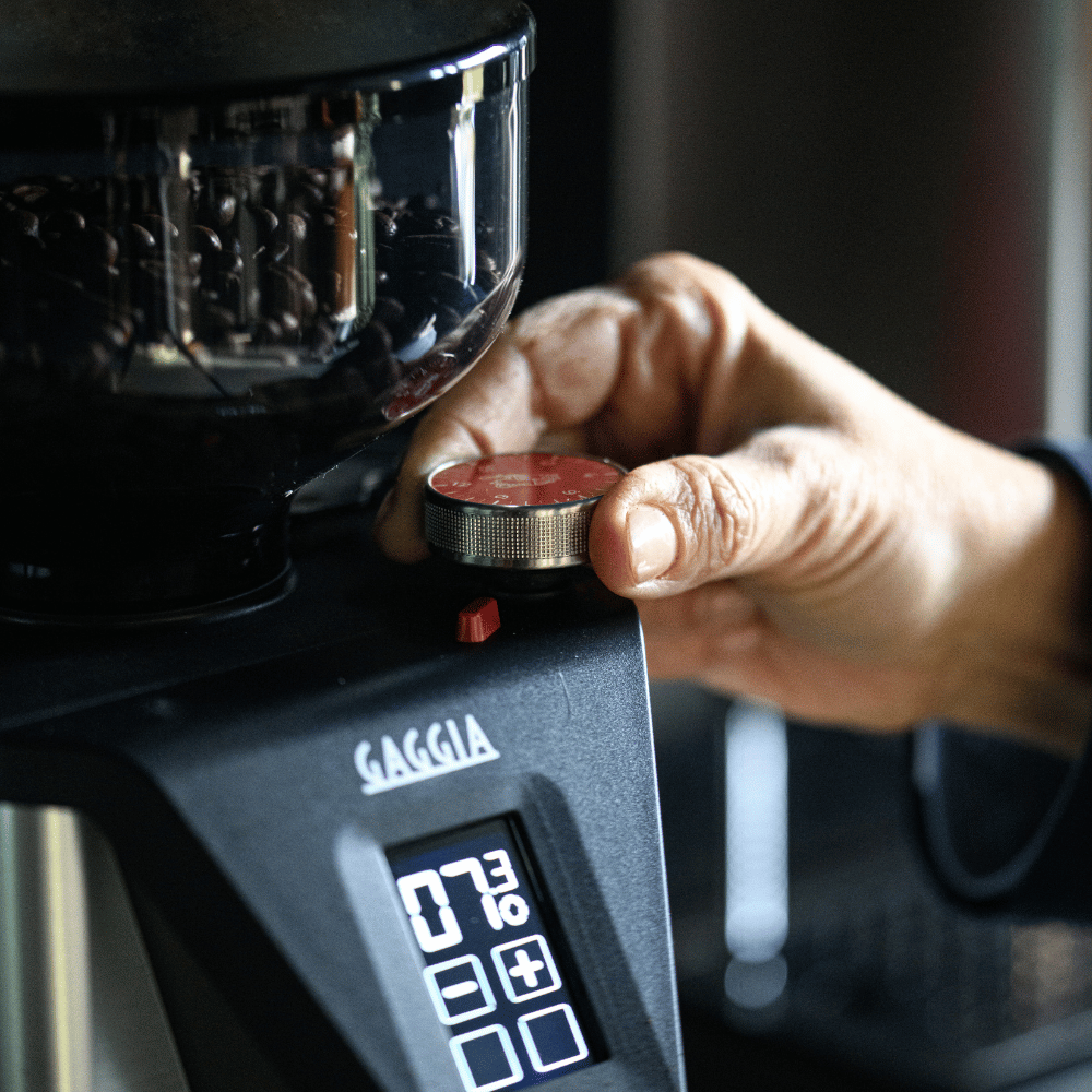 Molino MDF 55 - Gaggia