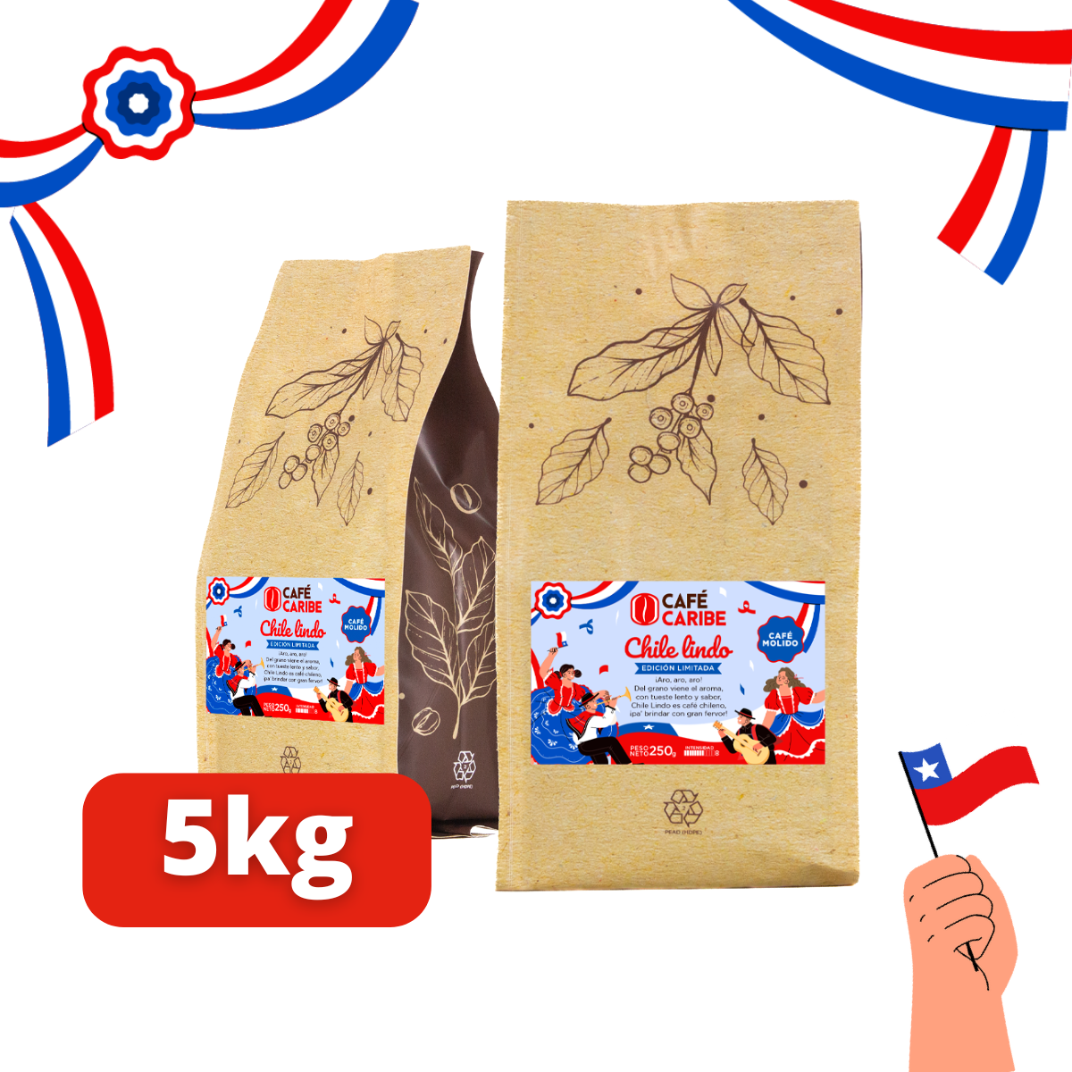 5kgkgs_molido_ac2a2498-08ba-4595-825a-a59a6d8c98c6.png