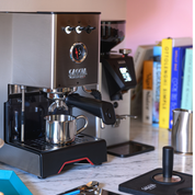 Classic UP Inox - Gaggia