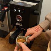 Classic UP - Gaggia