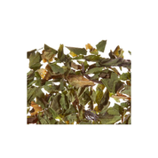 Menta Bávara - Althaus