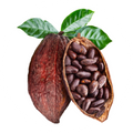 Cacao