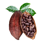 Cacao
