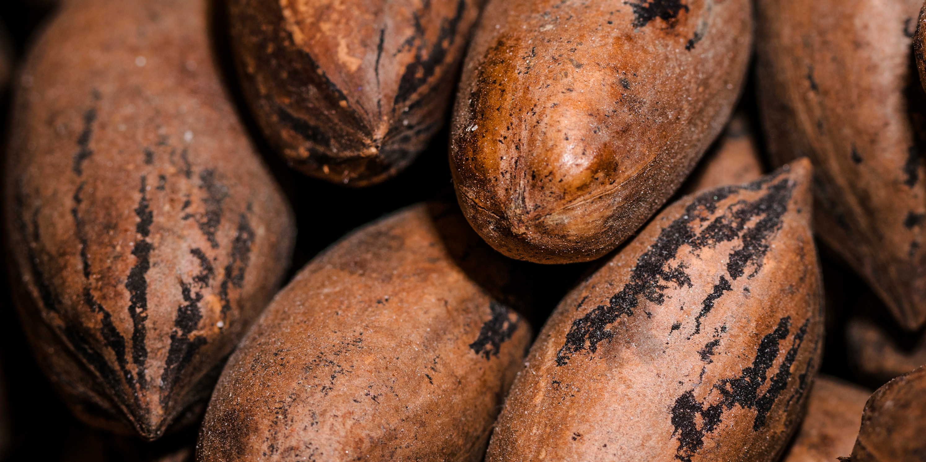 Cafe_Arabica_con_toques_de_Robusta_y_aromaticas_notas_de_cacao.png