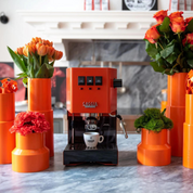 Gaggia - Classic Pro E24 Energy Vibes