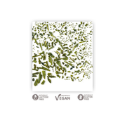 Rooibos Vainilla - Althaus