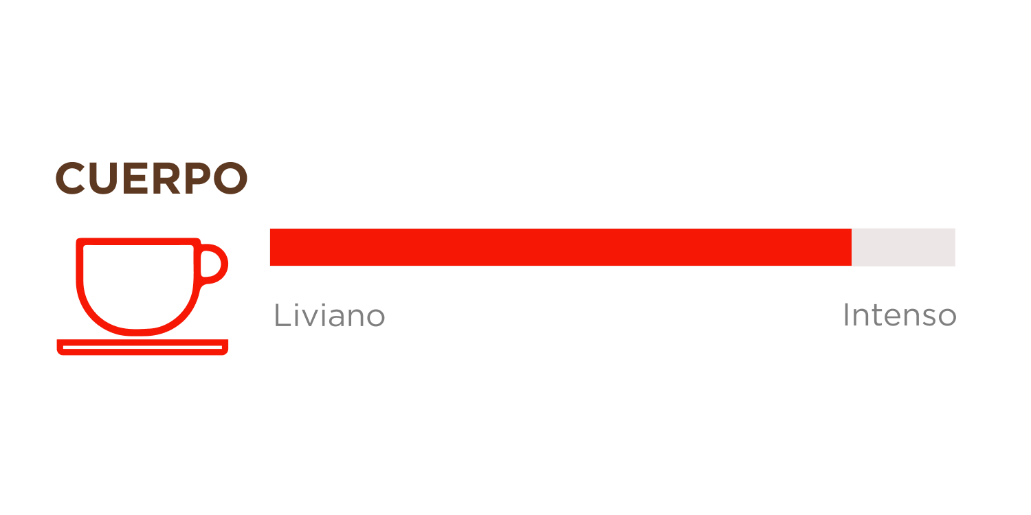 IC_ESP_2_10caps-Vernazza-Luigi.png