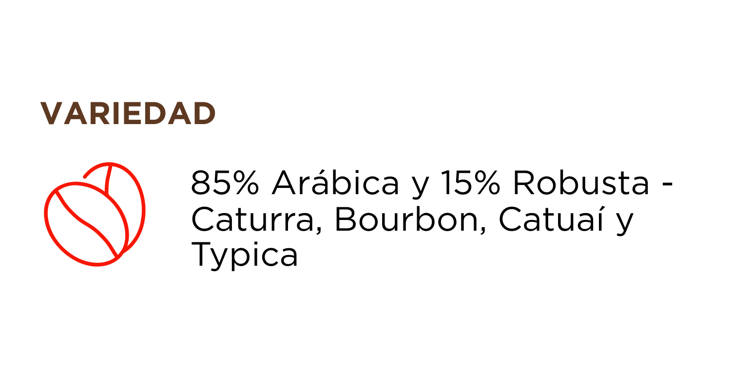 IC_ESP_4_100caps-Apoyo-Intenso.png