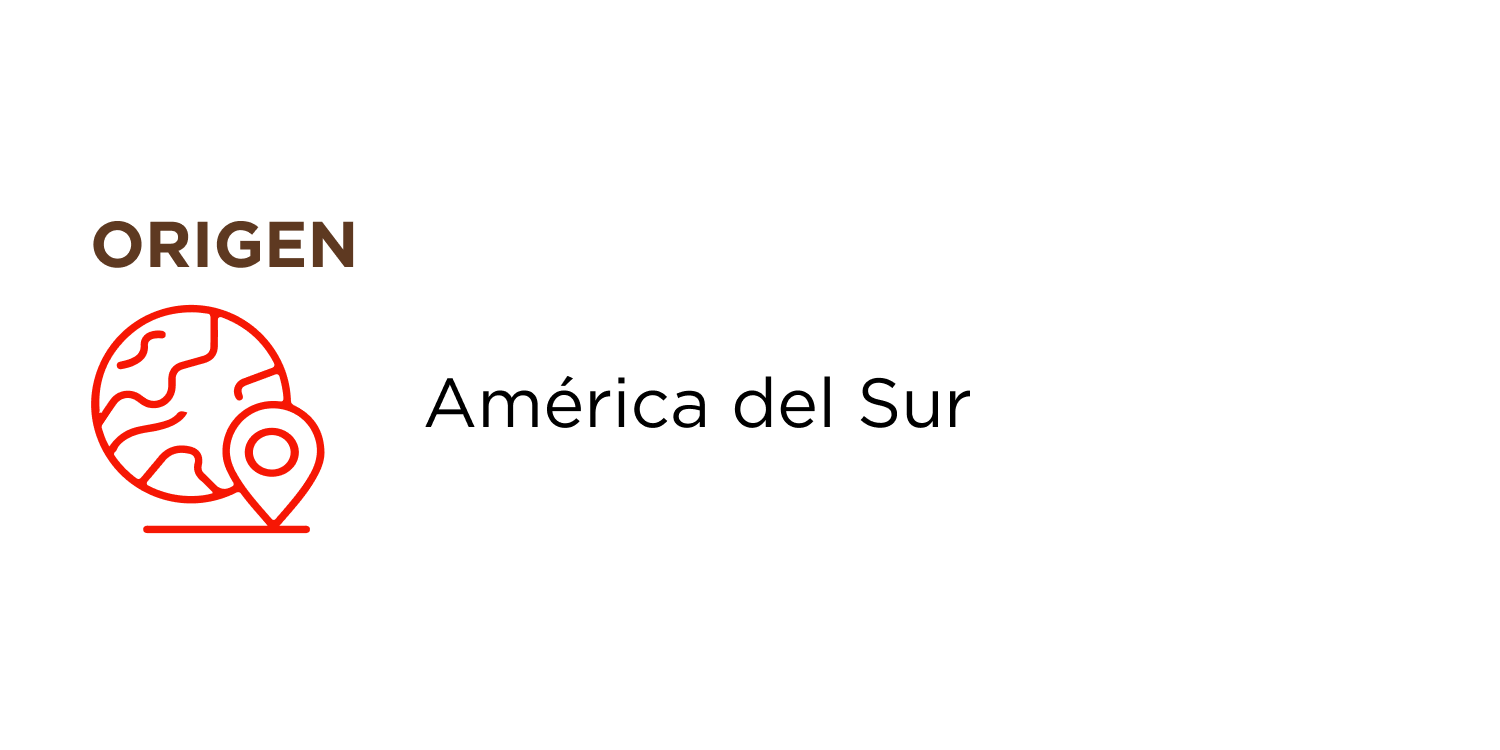 IC_ESP_5_8italianissimo-Molido.png