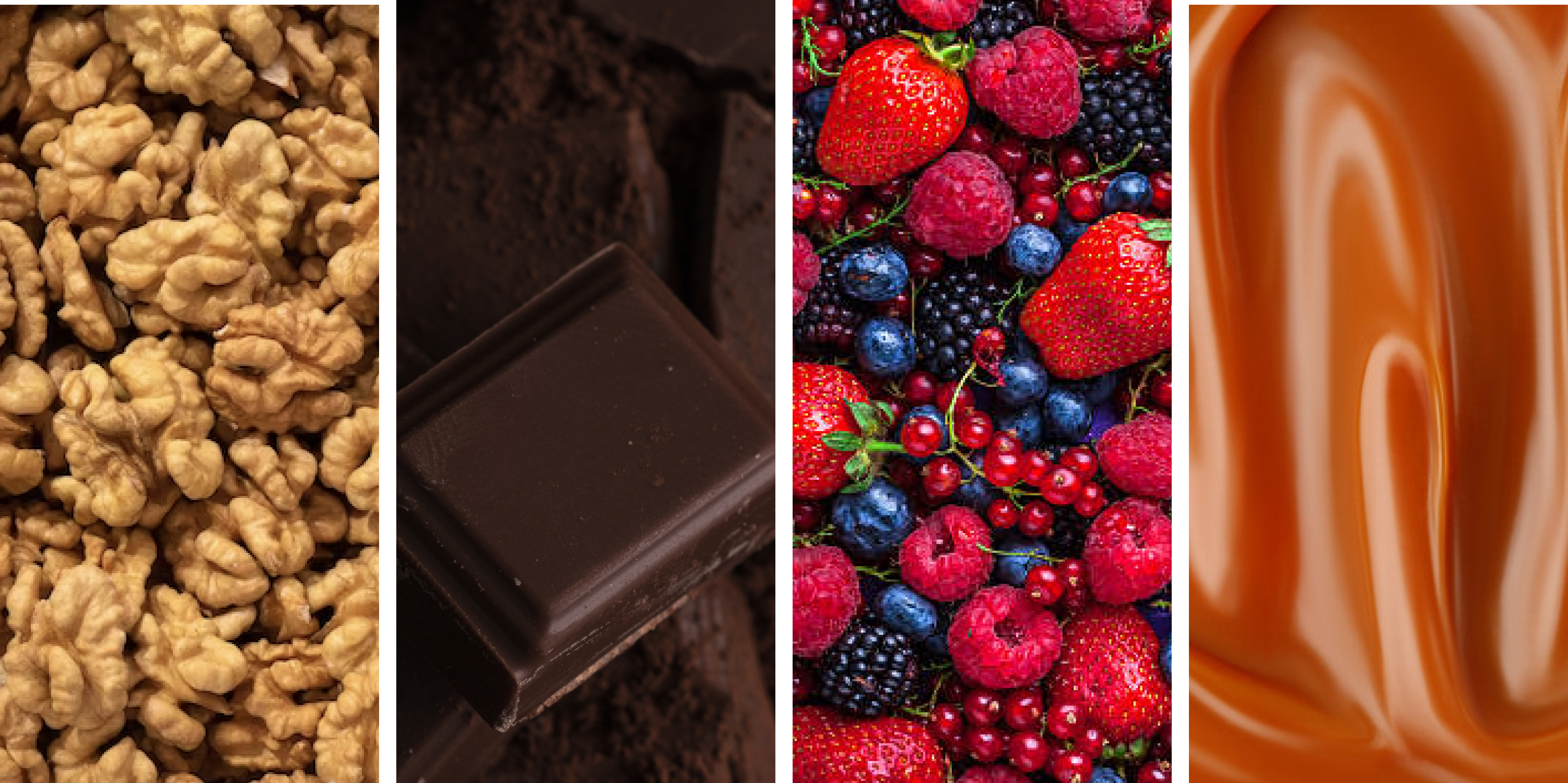 IMG_TEX_1_IMAGEN_10caps-Dulce-Compania.png