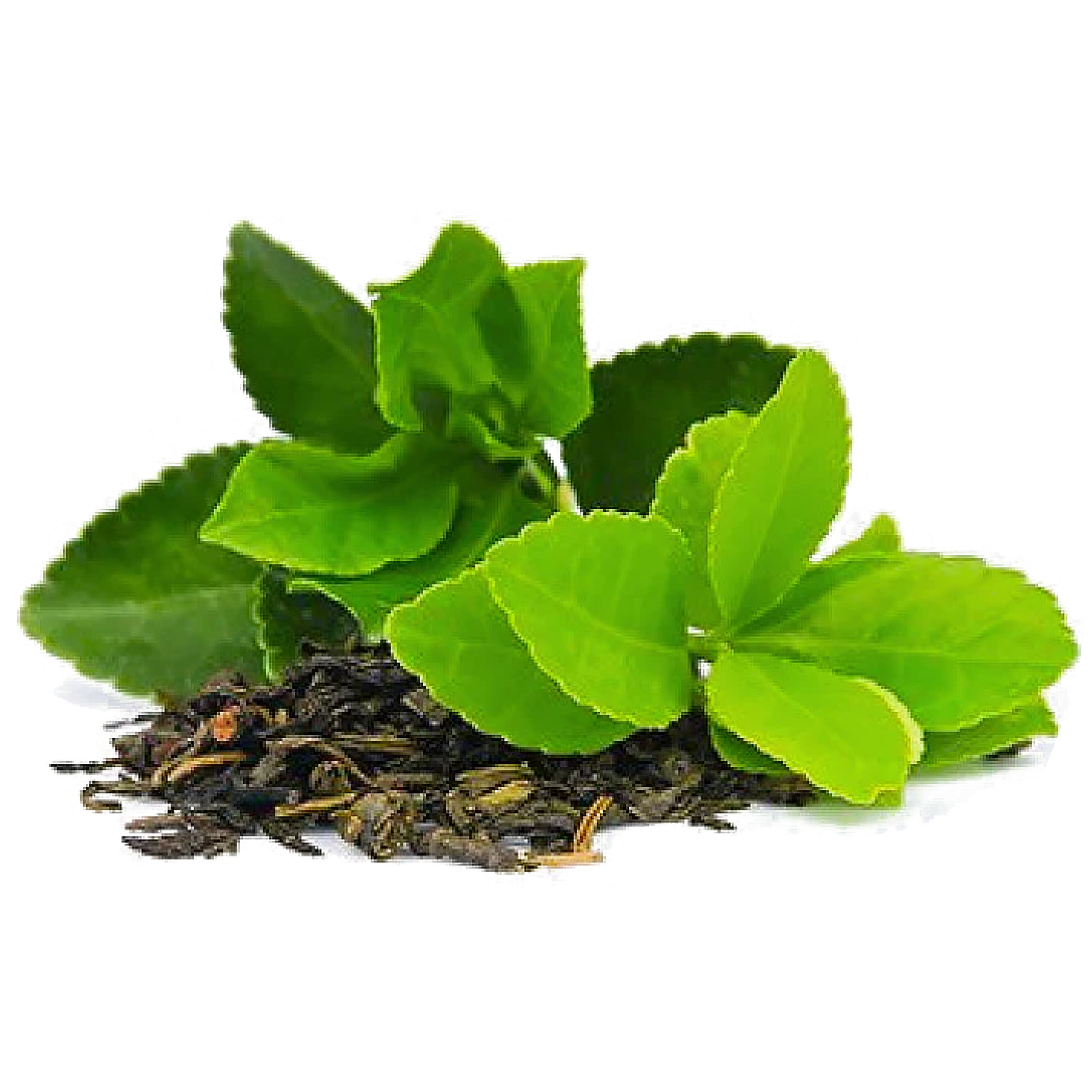 Té Verde