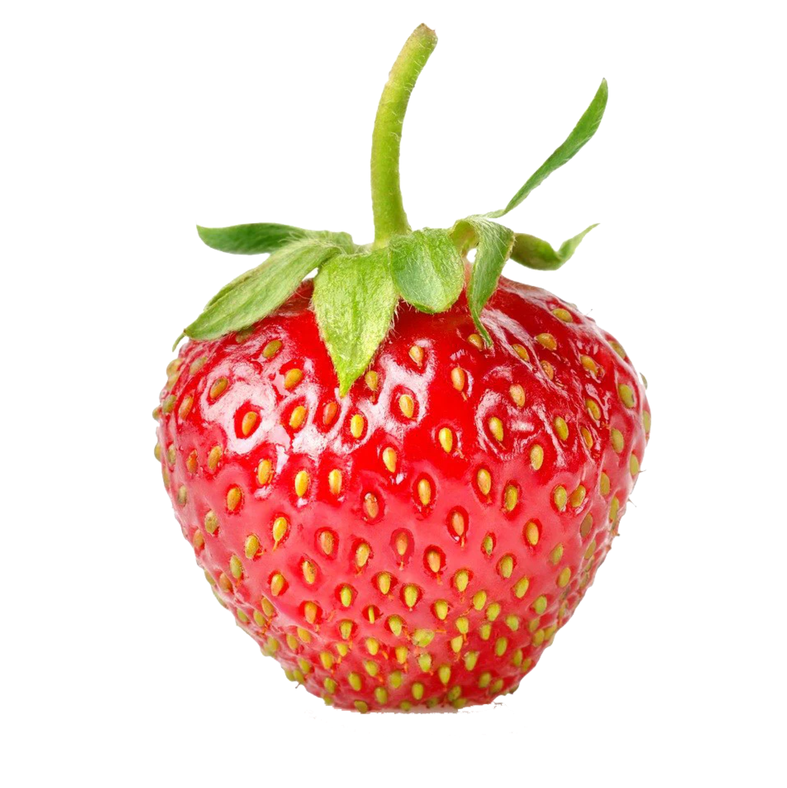 Frutilla
