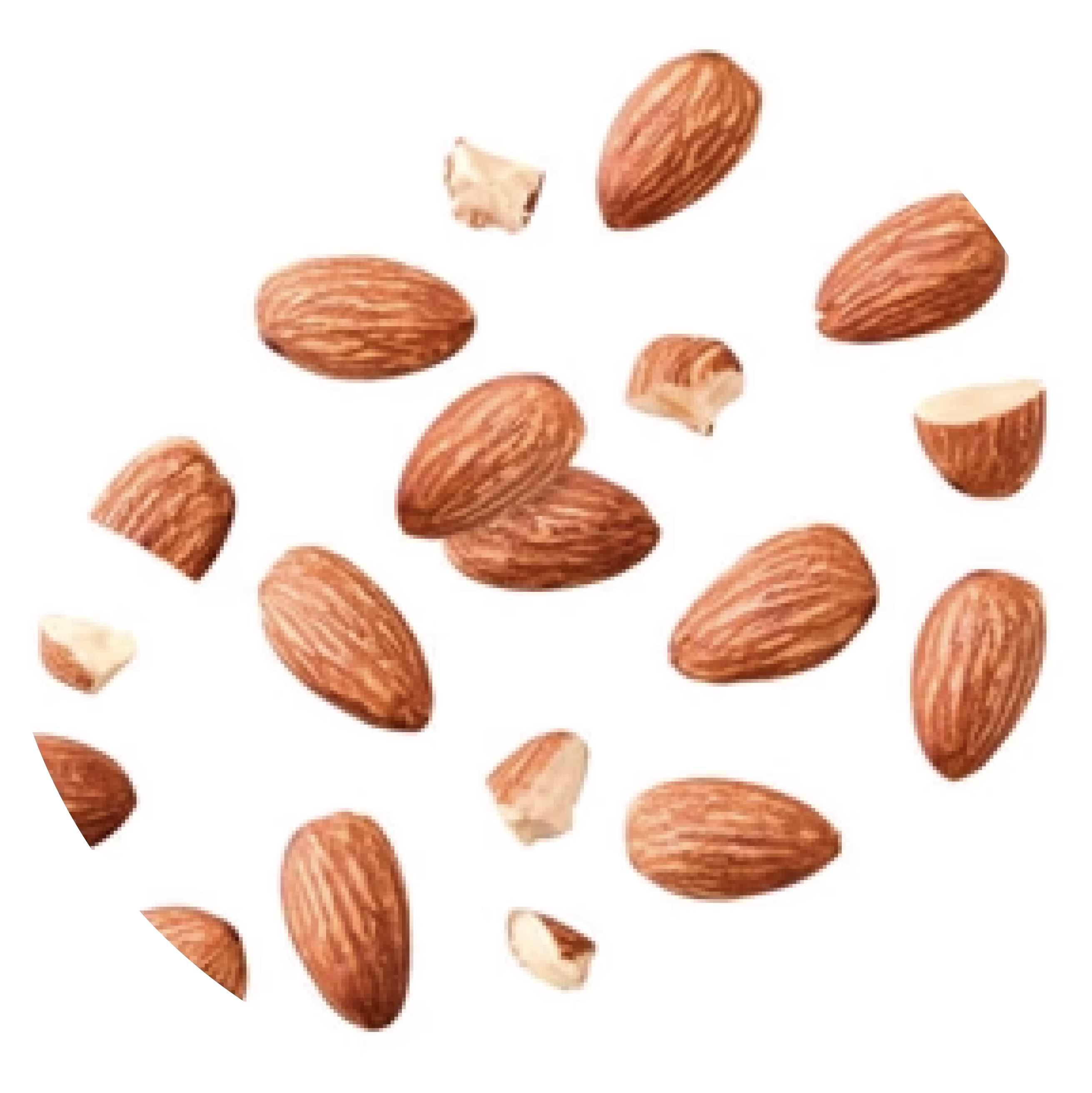 Trozos de Almendra