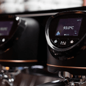 La Reale DFC 2 Grupos - Gaggia