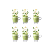 Matcha Latte con Ginseng