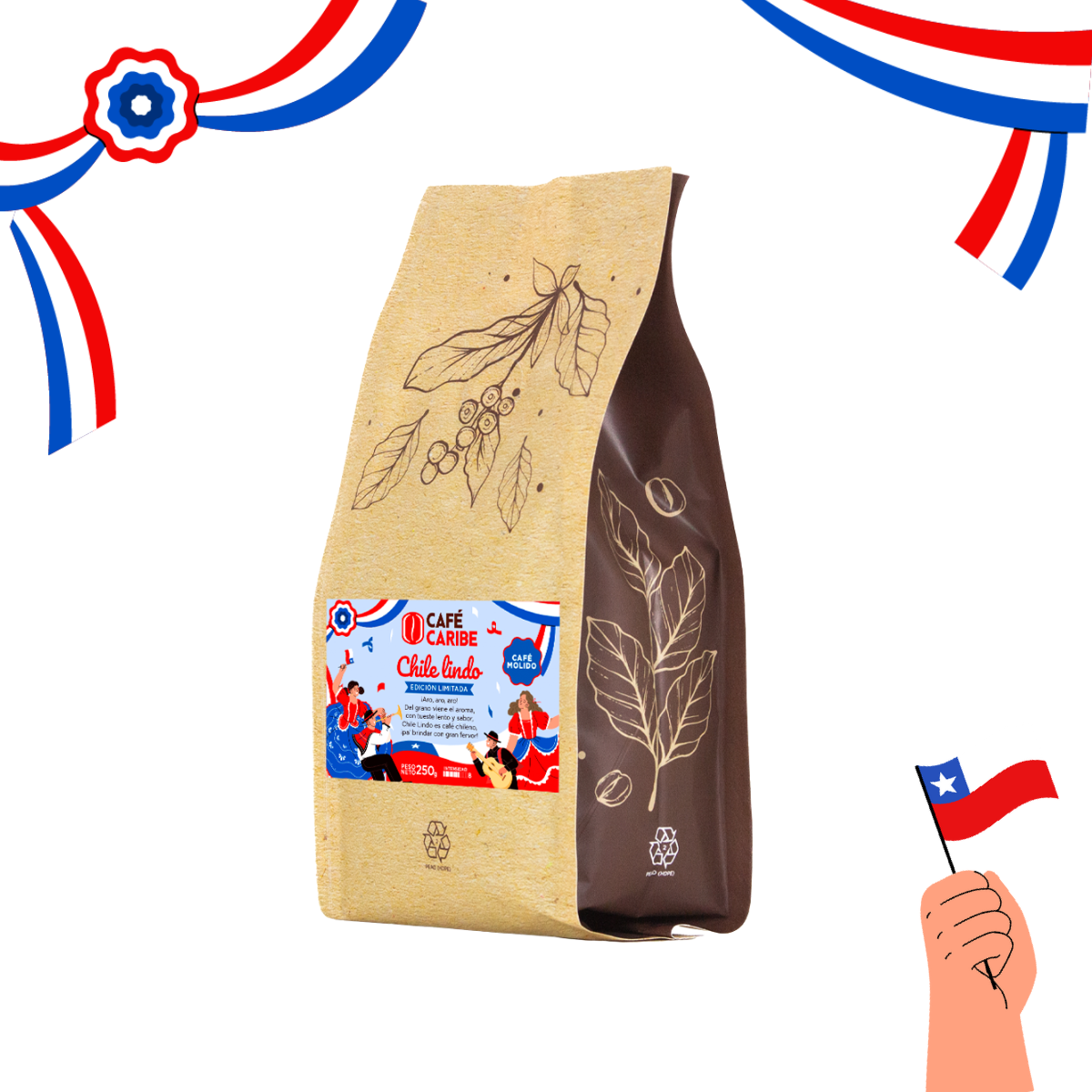 Molido_1_ee460e48-8349-4922-a226-075d70418c80.png