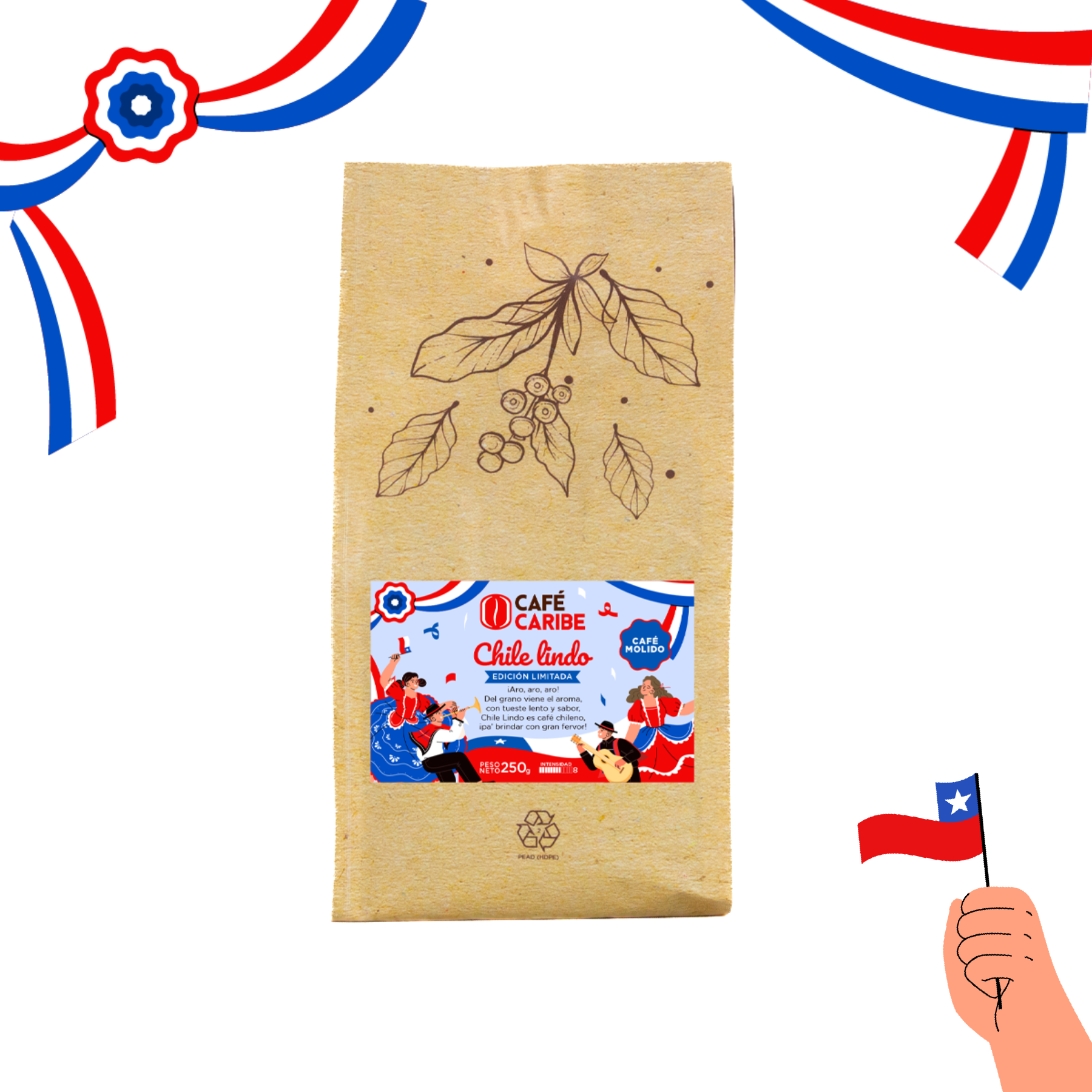 Molido_2_27cf71da-fdfe-4af3-8f95-c7ea5ae37a2a.png