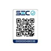 New Classic Pro E24 - Gaggia