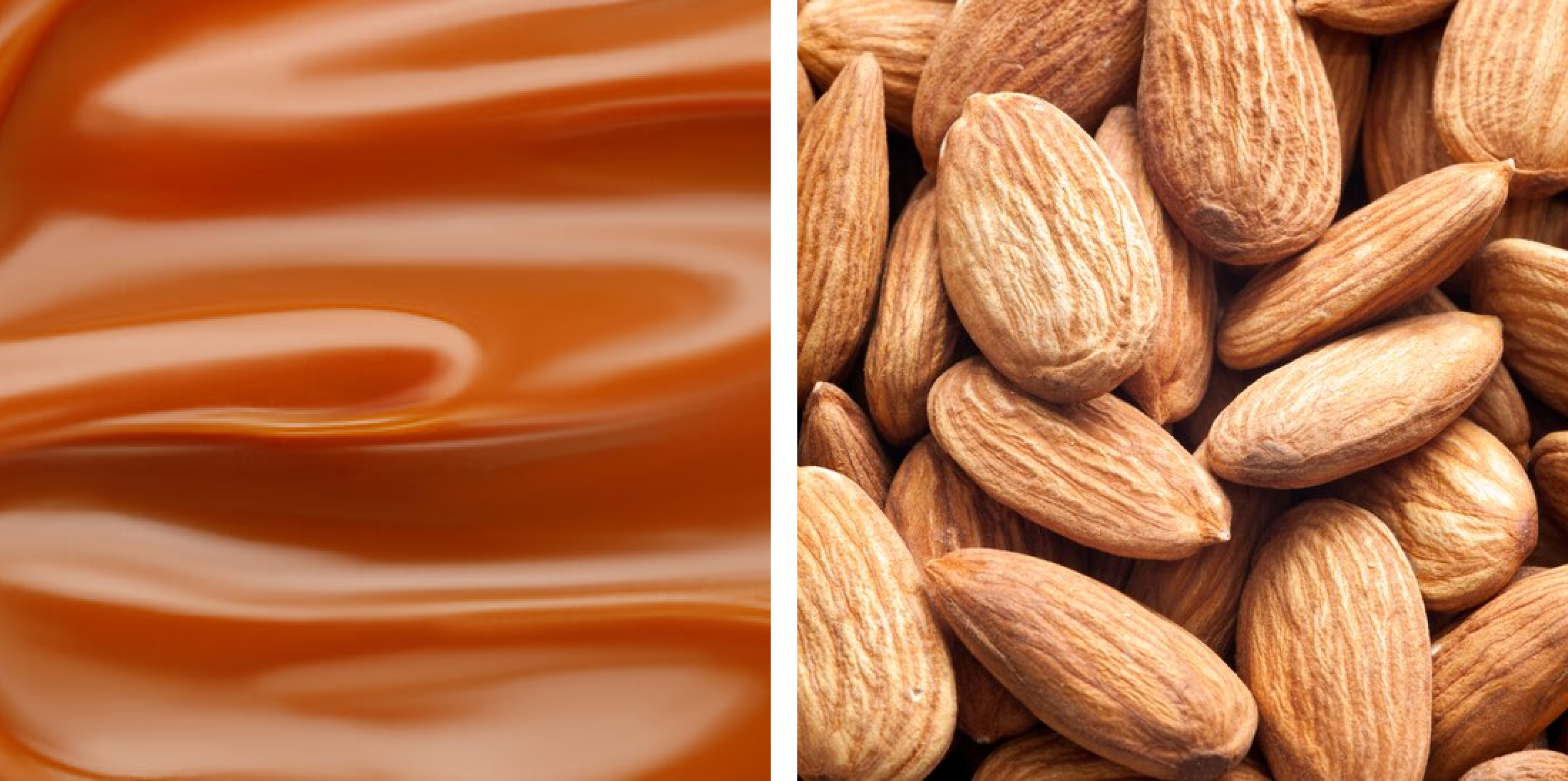 Notas_dulces_caramelizadas_acompanadas_de_un_sutil_toque_de_acidez._9568692f-e48e-49b6-953e-797ec4a16326.png