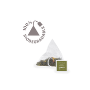 Grün Matinee - Althaus