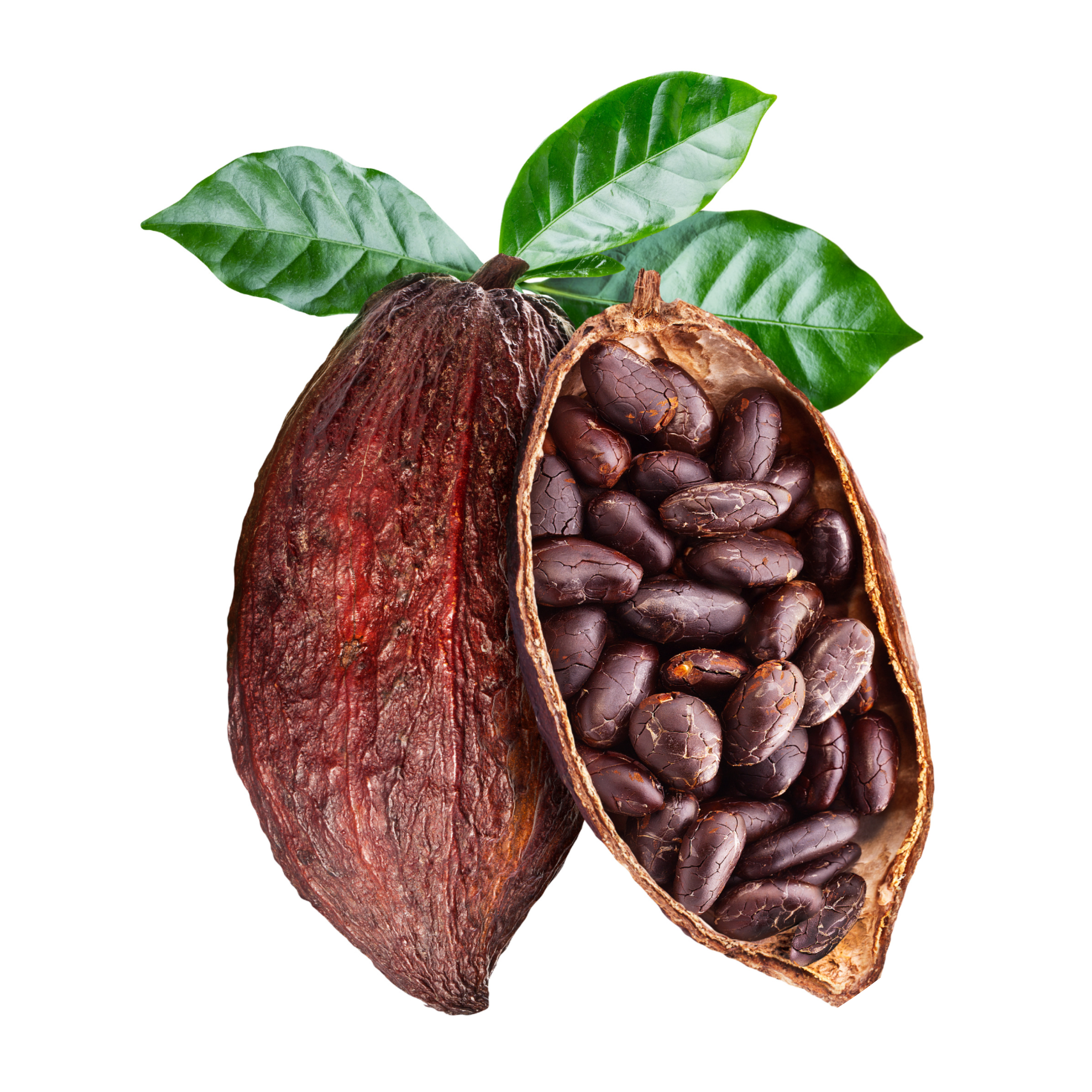 SUPERAL_1_IMG_10400068NuttyCoffee-60caps.png