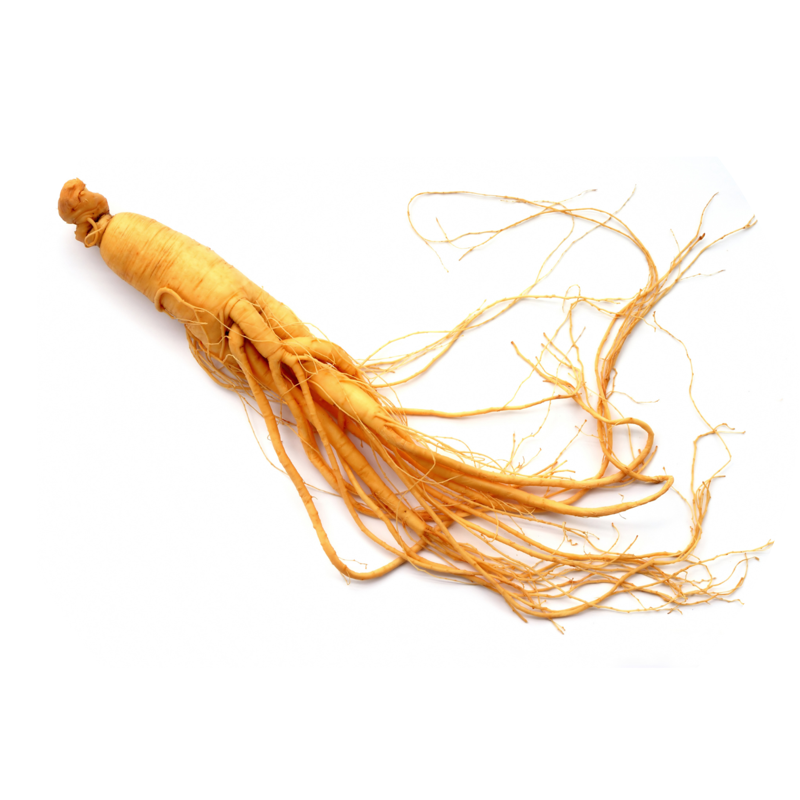 SUPERAL_2_IMG_10400040SachetMatcha.png