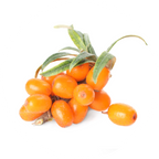 Sea Berry