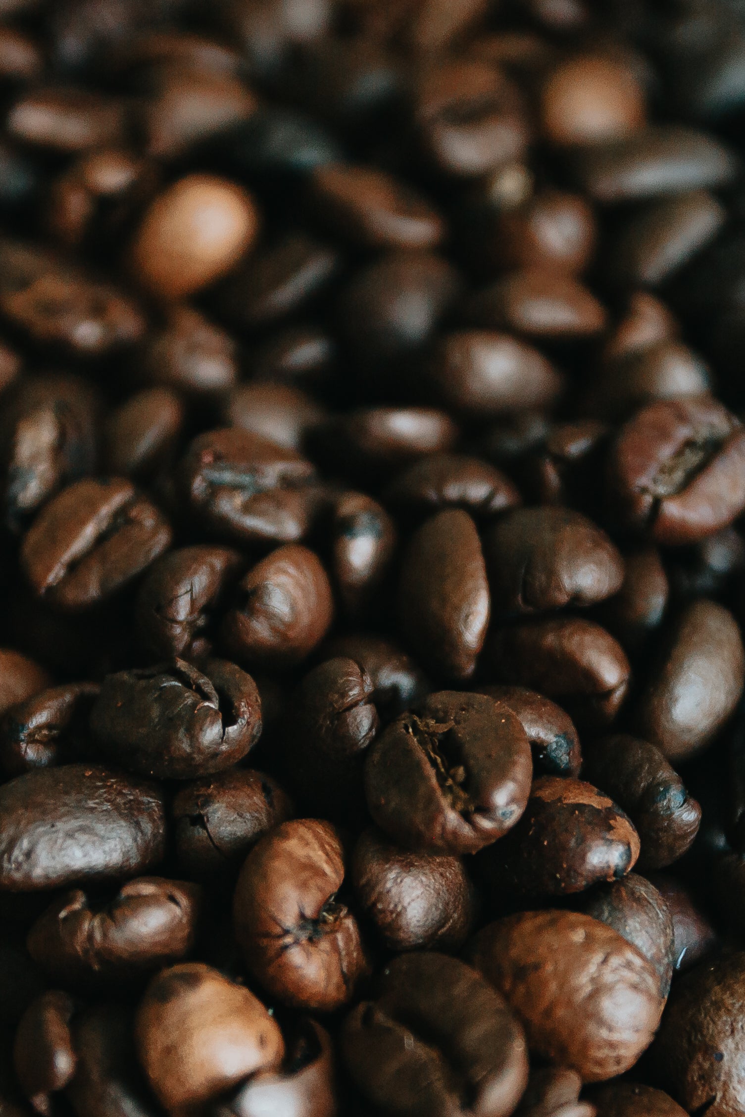 close-up-coffee-bean-texture.jpg