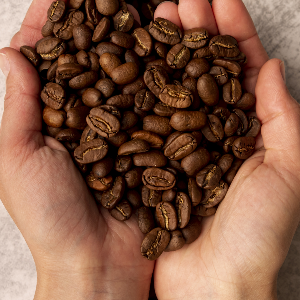 imagen_banner_final_Sabor-Gentil-grano-500.png